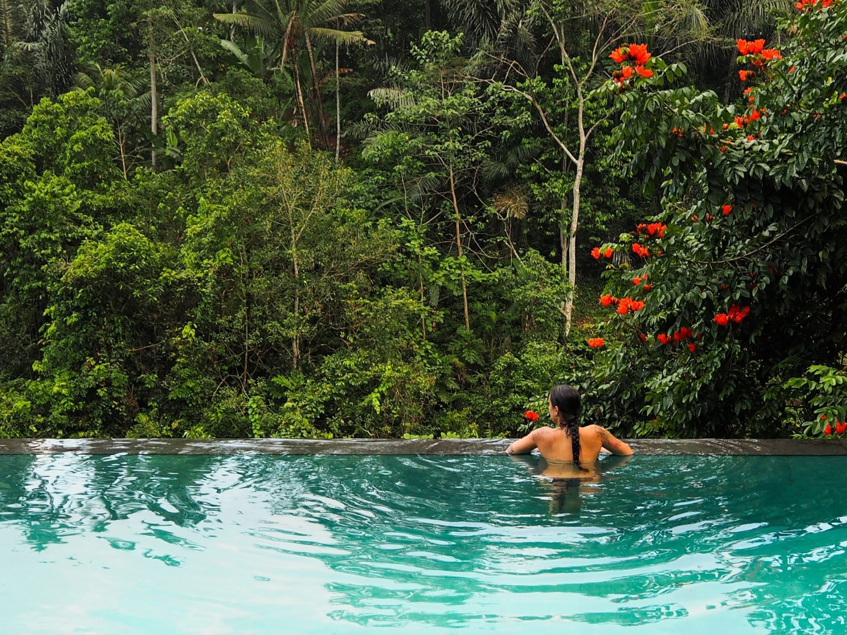 Pool mit Blick auf den Dschungel, Ubud, Indonesien