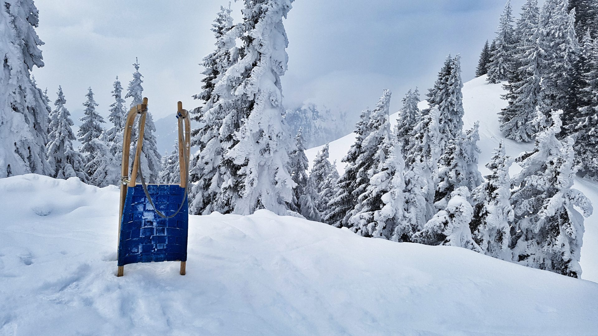 Schlitten fahren in Ski Juwel, Tirol, Österreich