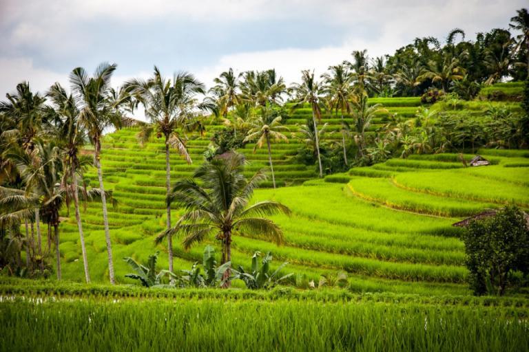 Packliste für Bali, Indonesien