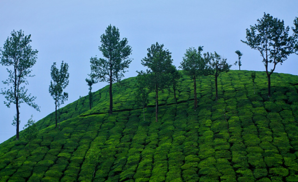 Bergstationen in Kerala, Indien