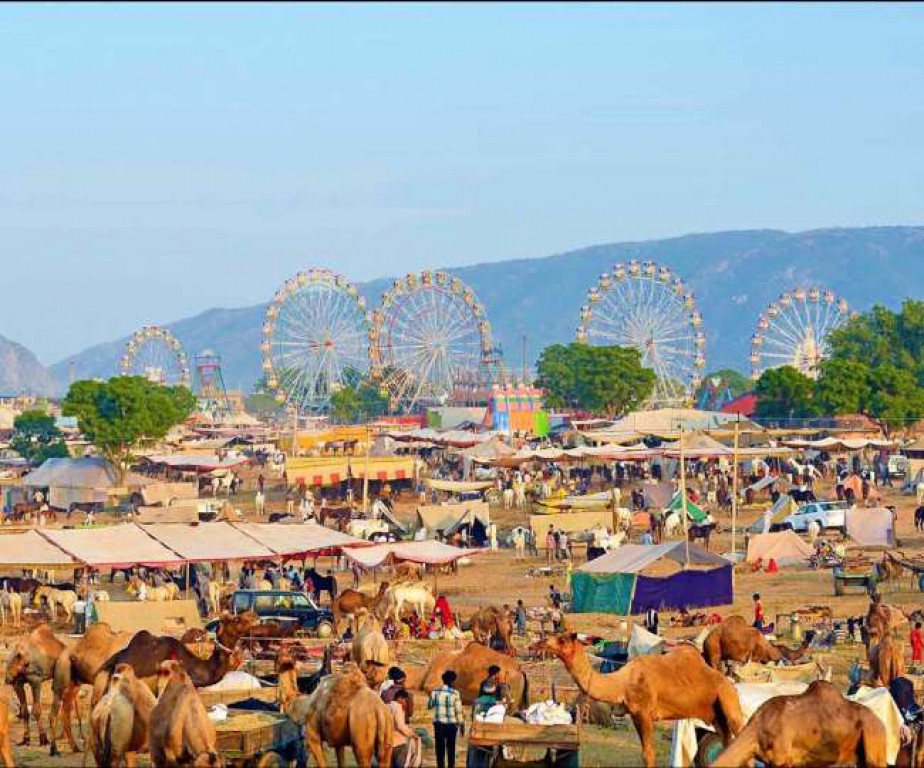 Feste in Indien - Pushkar Mela