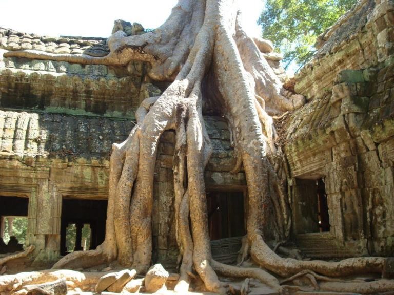 Angkor Wat & Kambodscha Reisetipps