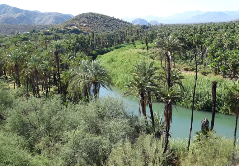 Guadalupe Canyon: Eine Oase der heißen Quellen in Mexiko