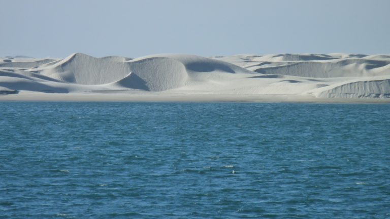 Wie du einen fantastischen Urlaub in Baja California planst