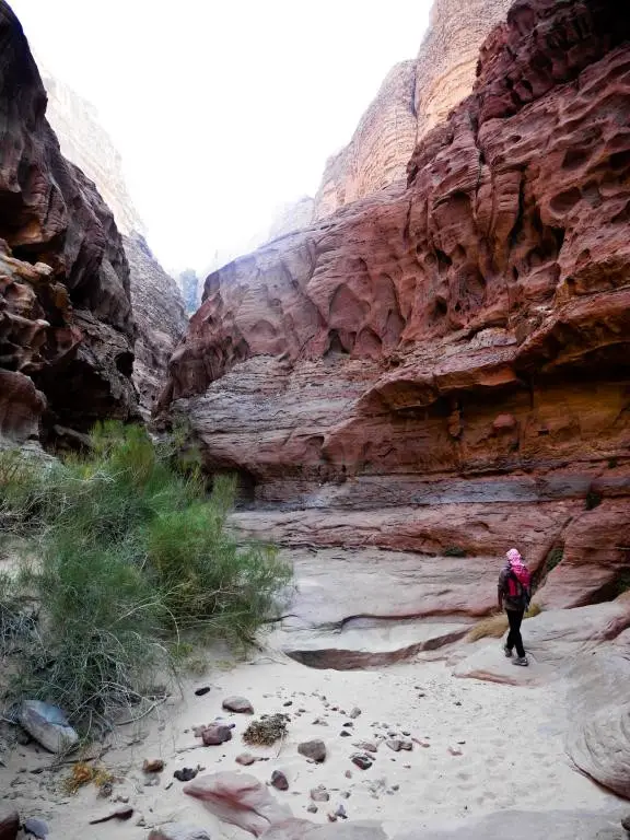 Eine kleine Oase mitten im Berg - Wadi Rum, Jordanien.