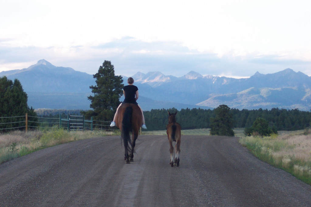 Reiten in Pagosa Springs