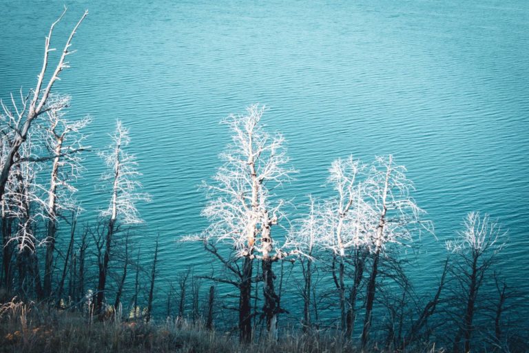 Gründe für einen Besuch des Yellowstone Nationalparks im Winter