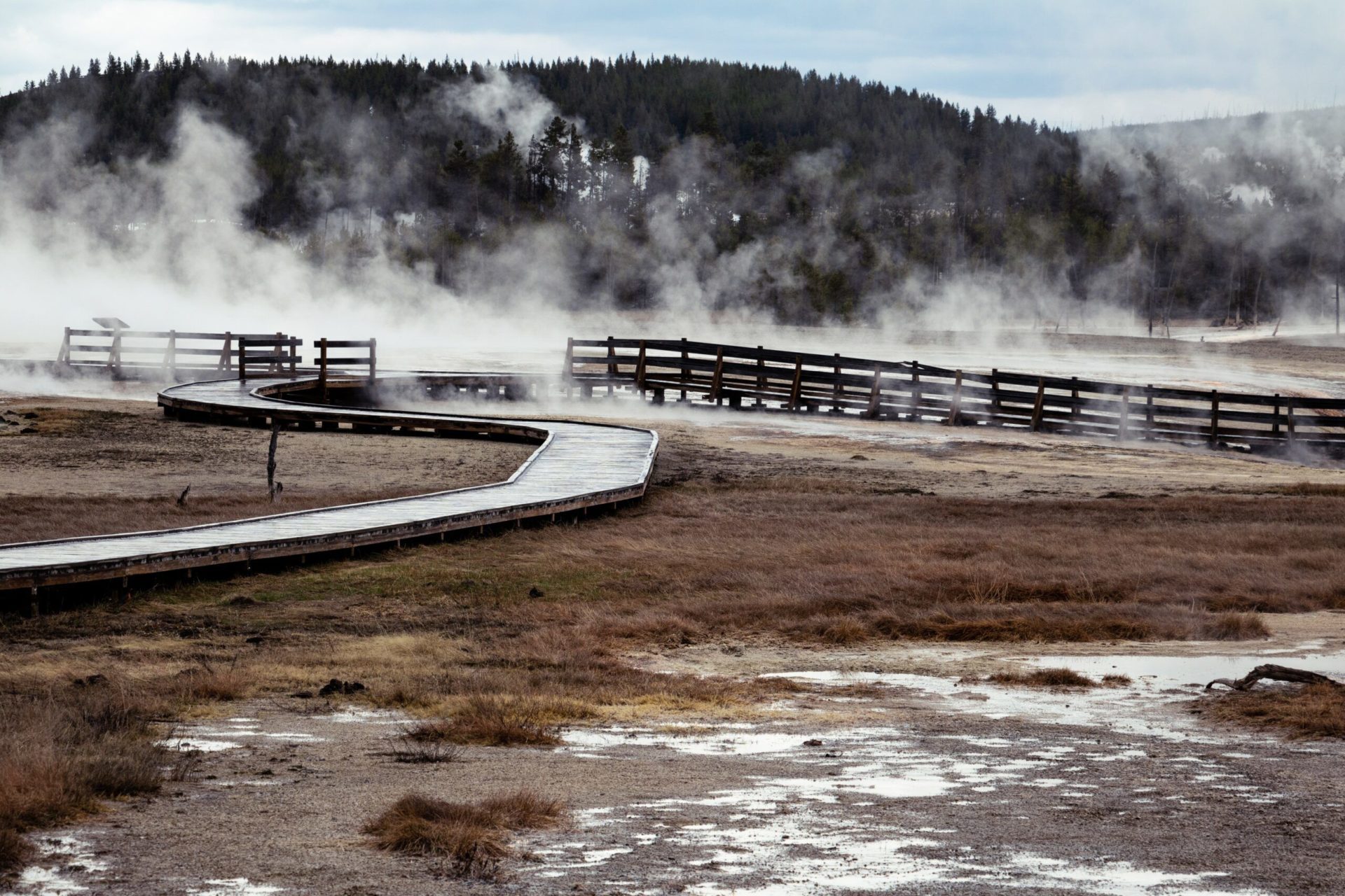 Erlebe die Yellowstone-Geysire im Winter.