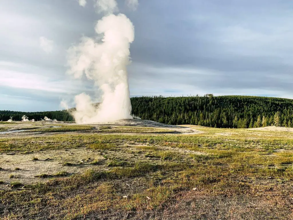 Old Faithful Geysir im Yellowstone National Park.