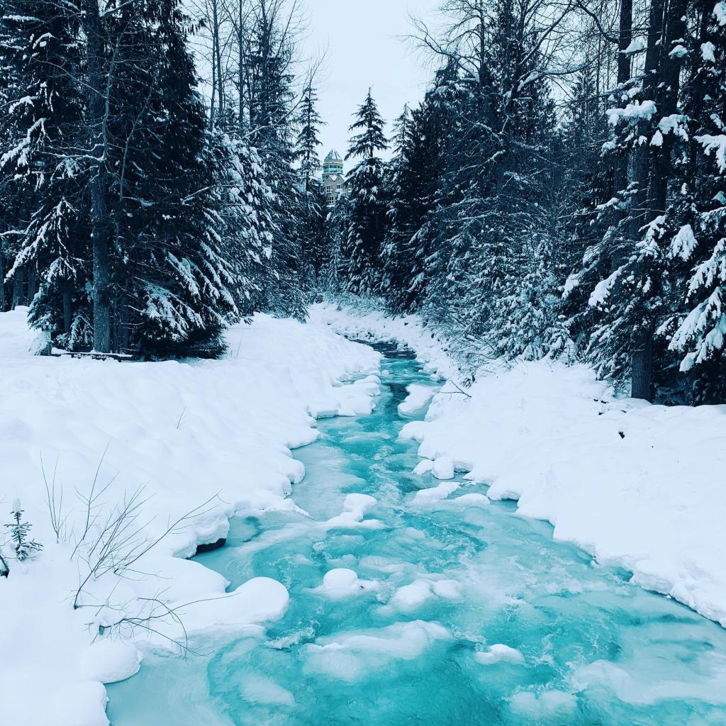 Was dich bei einem Arbeitsurlaub in Kanada erwartet