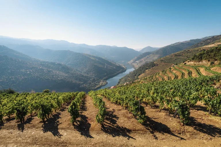 Besuch im Douro-Weintal in Nordportugal