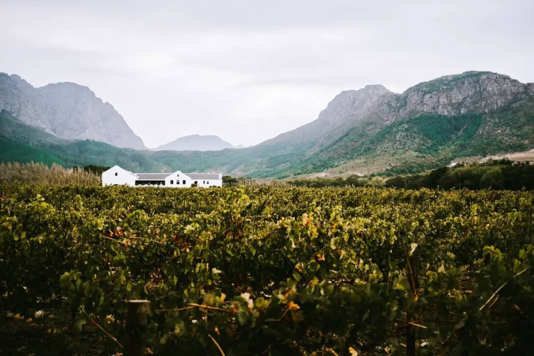 Gründe, warum du die Weinregion Franschhoek in dein Kapstadt-Reiseprogramm aufnehmen solltest