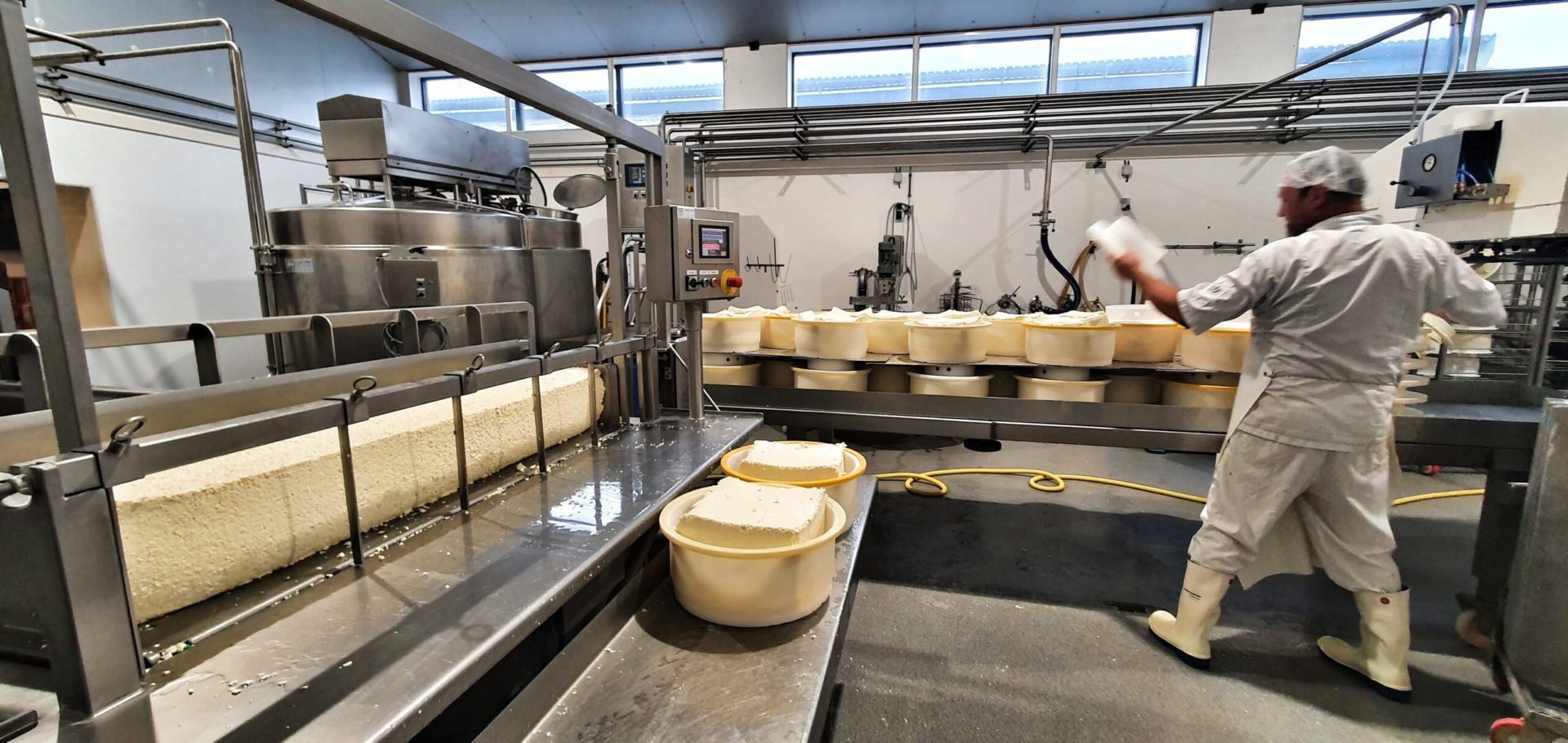Käseproduktion in der Kaasboerderij, Käsehof Wezenspyk auf Texel, Niederlande.