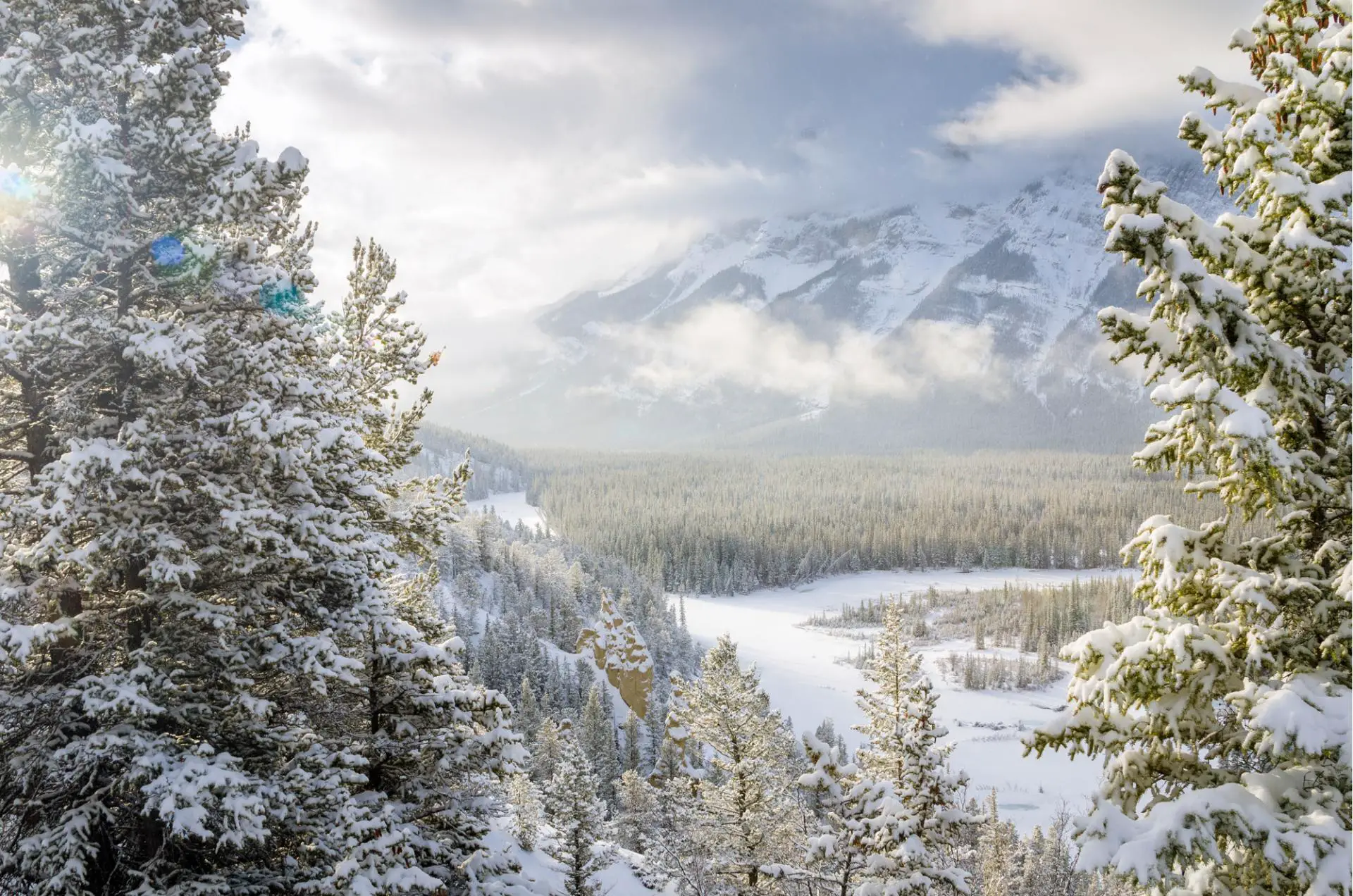Herrlicher Winterblick auf das Bow River Valley im Banff National Park an einem verschneiten Tag.