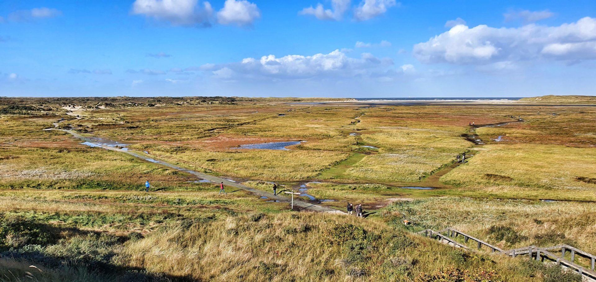 Das Naturreservat De Slufter auf Texel, Niederlande.