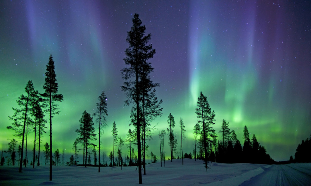 Nordlichter über einem Wald in Finnland.