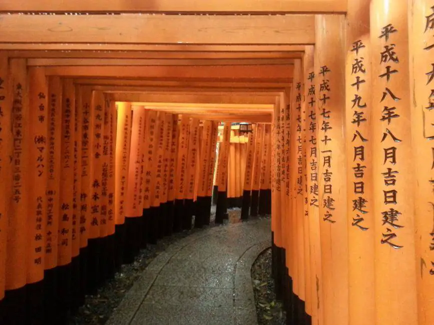 Torii Tore beim Fushimi Inari Schrein in Kyoto, Japan.