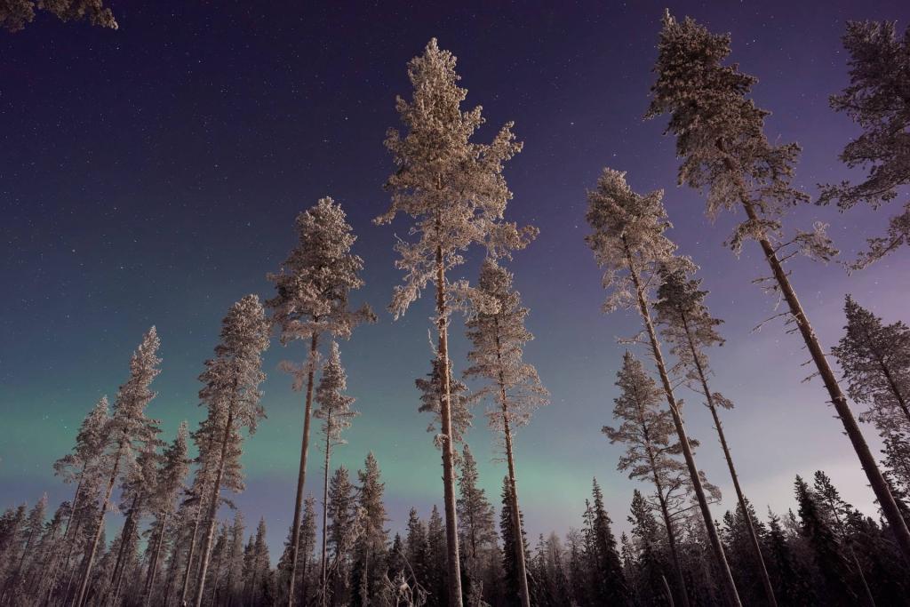 Winternacht und Nordlichter im finnischen Lappland.