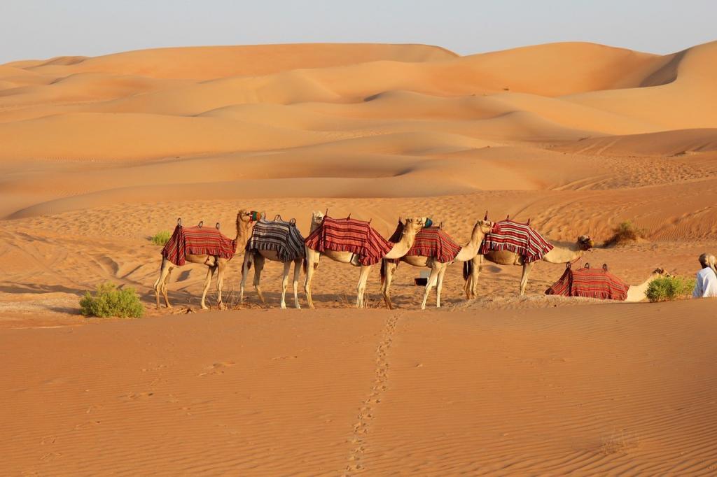 Kamelreiten auf der Wüstensafari in Dubai.