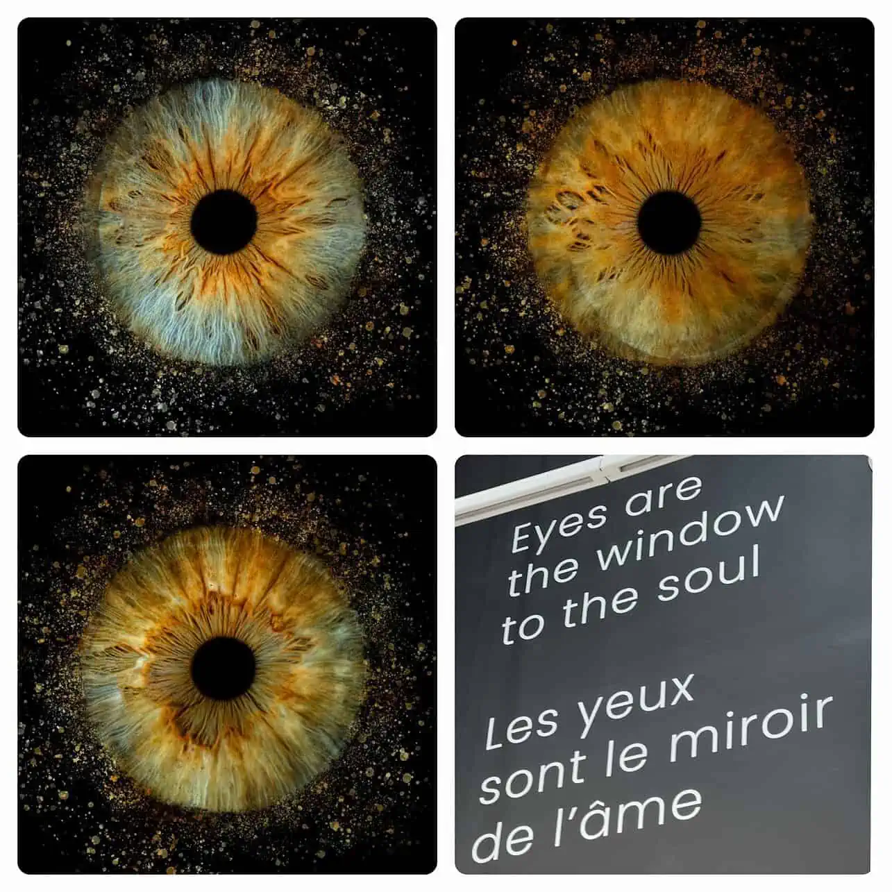 Iris Galerie im Carousel unterhalb des Louvre in Paris, Frankreich