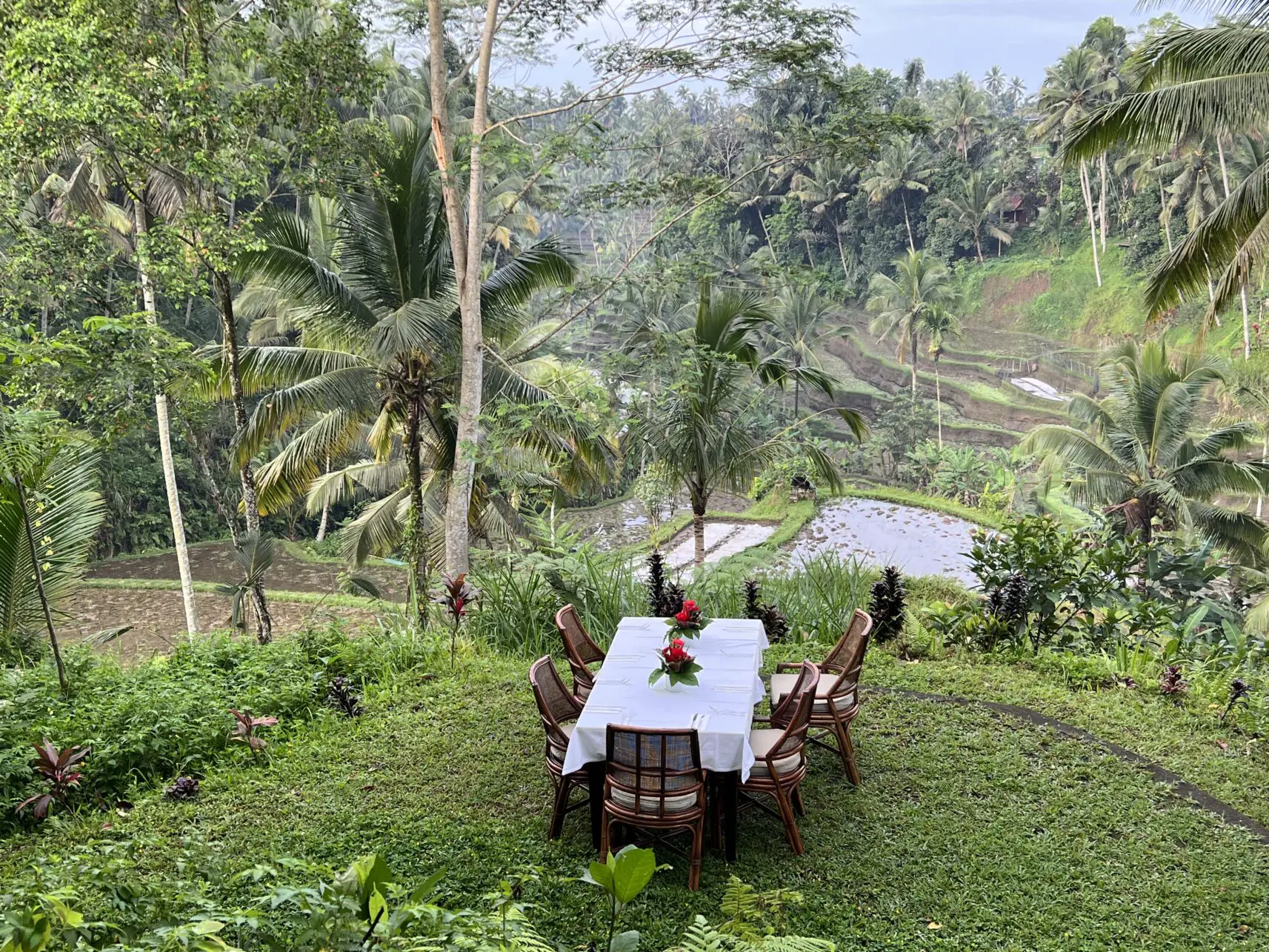 Frühstück über den Reisterrassen im Oneworld in Bali, Indoensien.