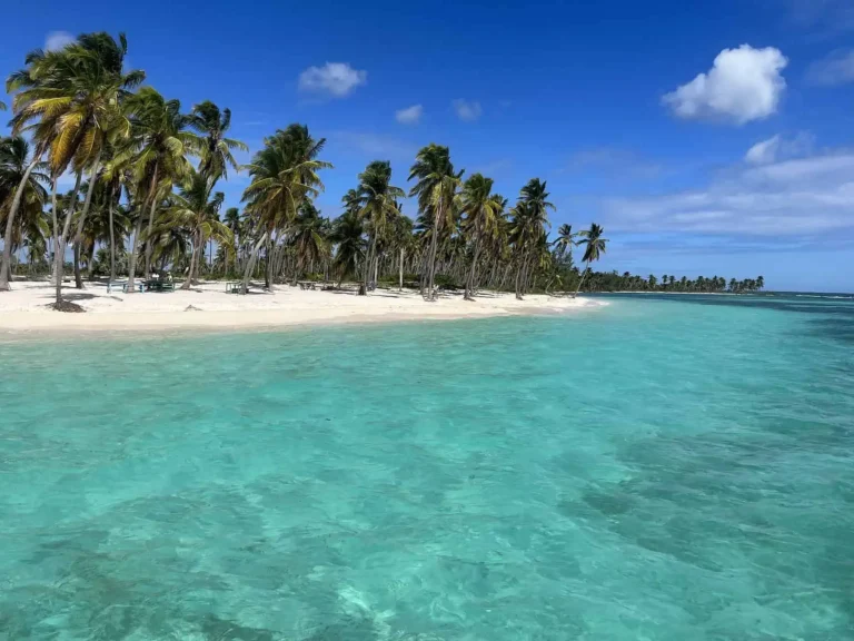 Die Insel Saona: Ein enthülltes Paradies – Entdeckung verborgener Juwelen