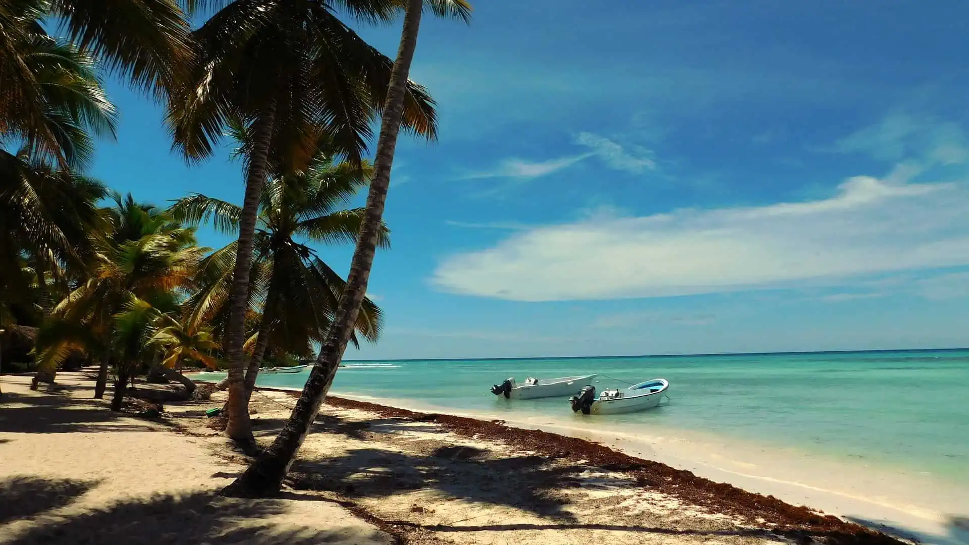 Karibikstrand auf der Insel Saona in der Dominikanischen Republik.