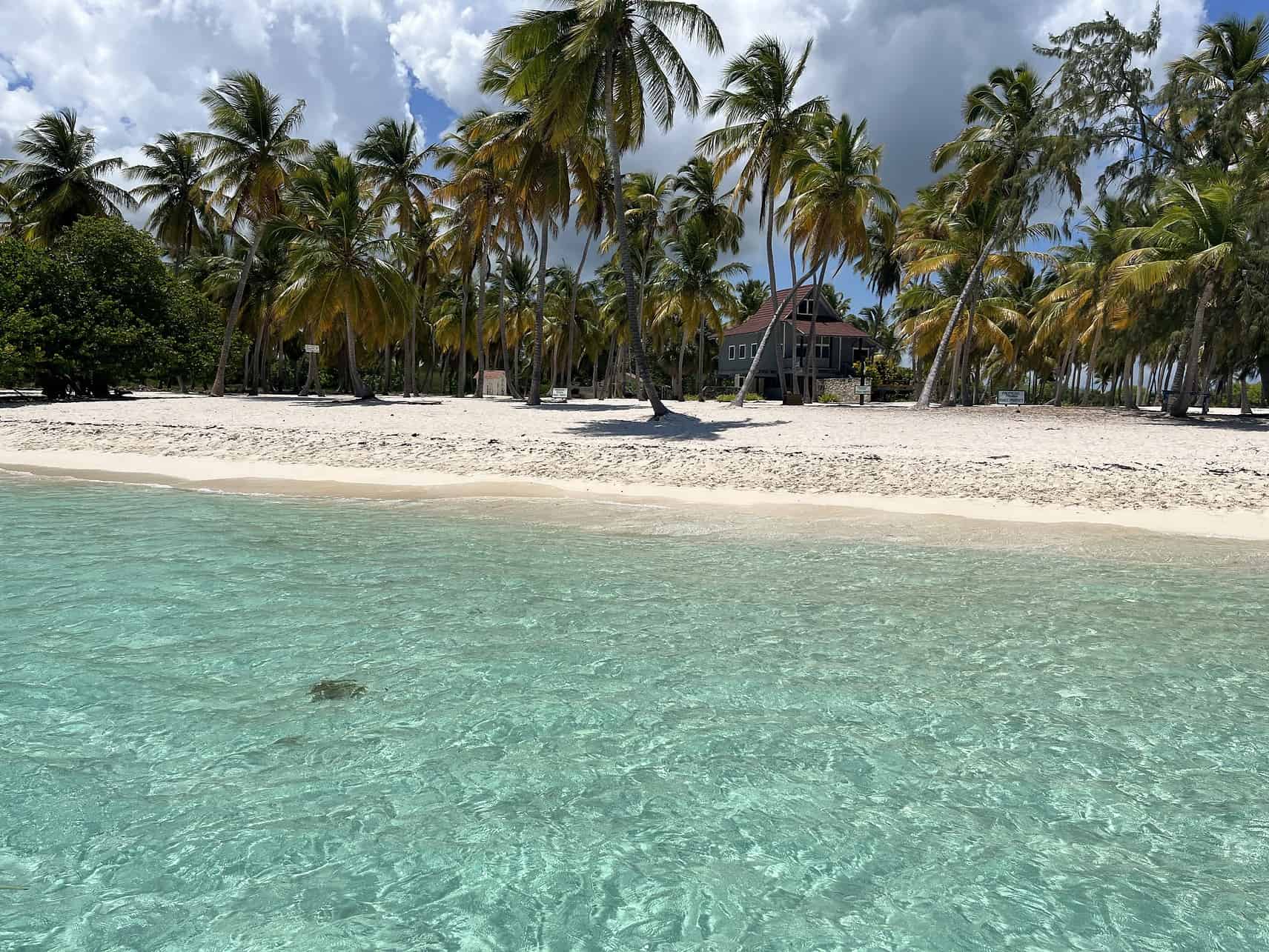 Strand auf der Insel Saona in der Dominikanischen Republik.