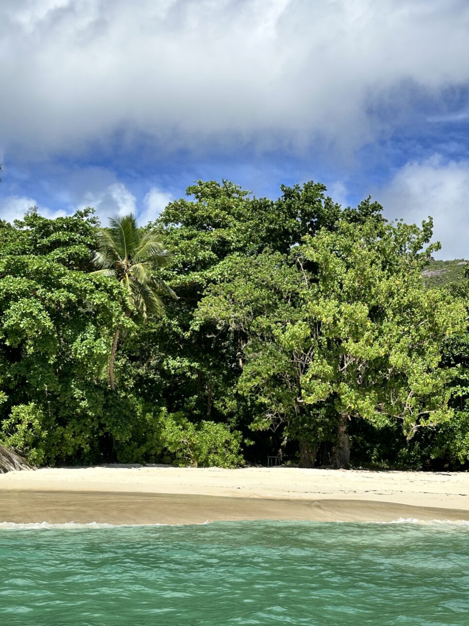 50 Schattierungen von Grün und Blau an den Stränden von den Seychellen.