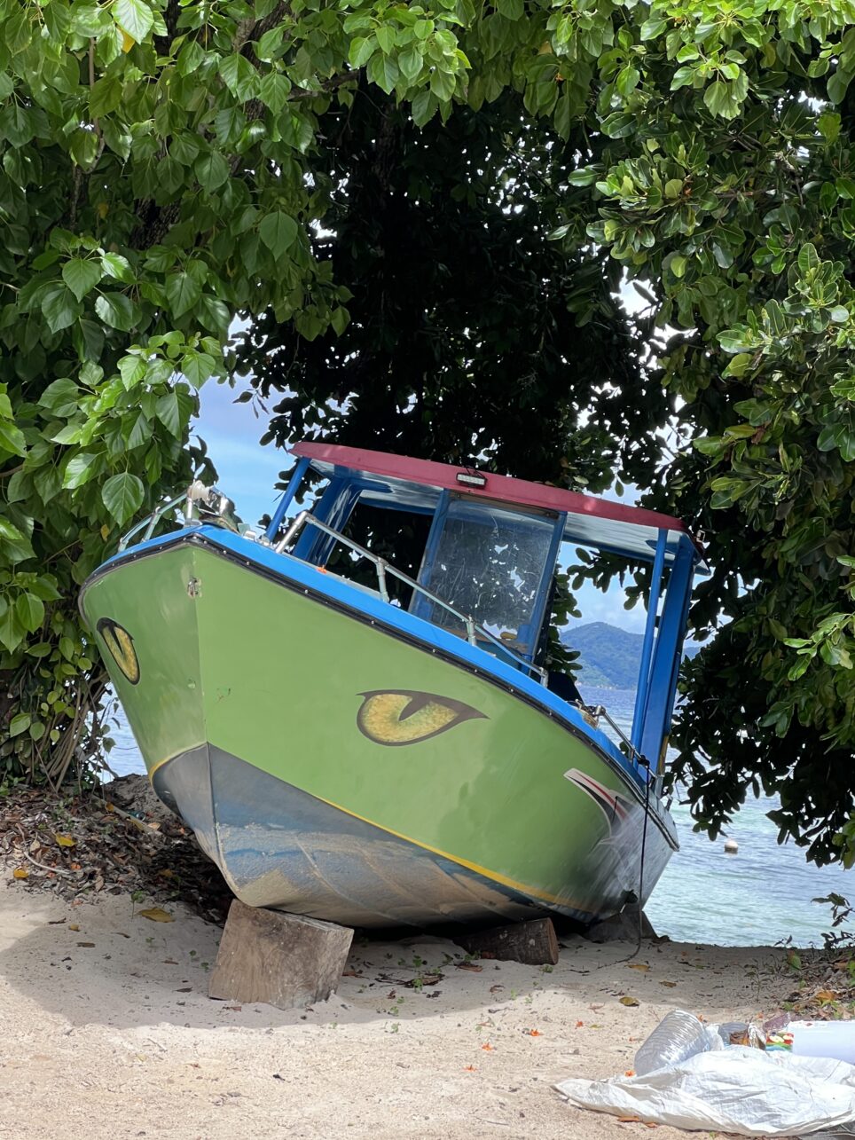 Bootsliebe auf den Seychellen.