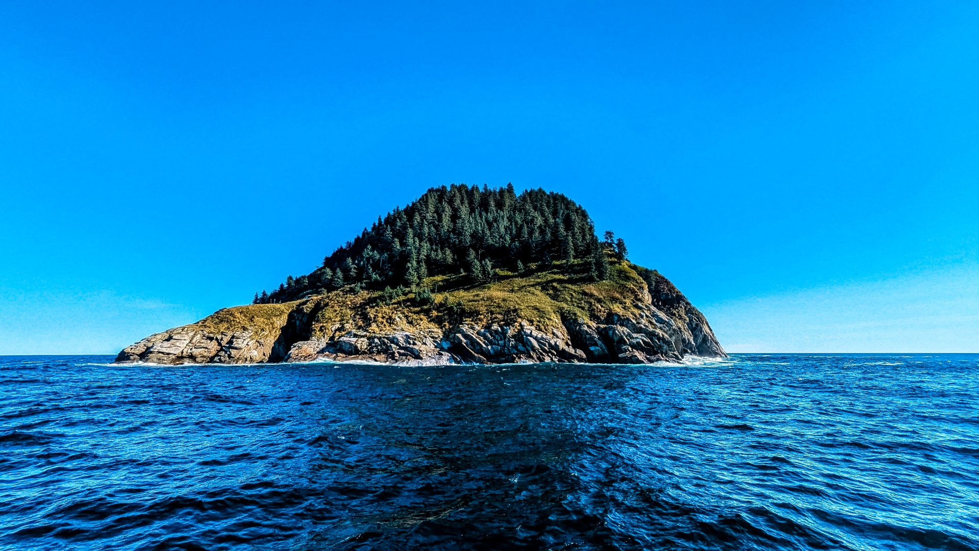 Chiswell Island im Kenai-Fjords-Nationalpark in Alaska, USA.