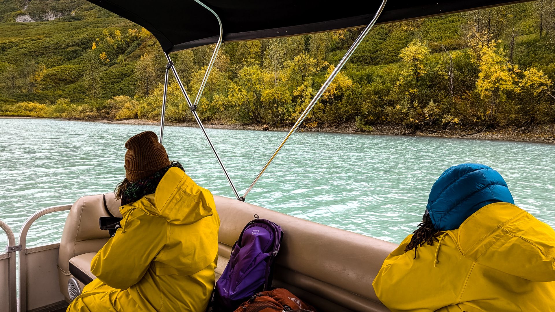 Halte Abstand zu den Bären in der Redoubt Bay Lodge im Lake Clark National Park and Preserve in Alaska.