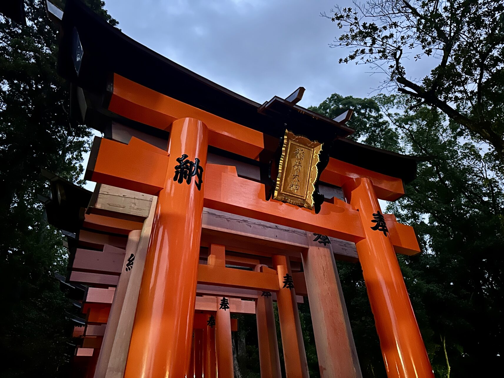 Torii-Allee - der Übergang zur Welt der Götter - Kyoto, Japan.