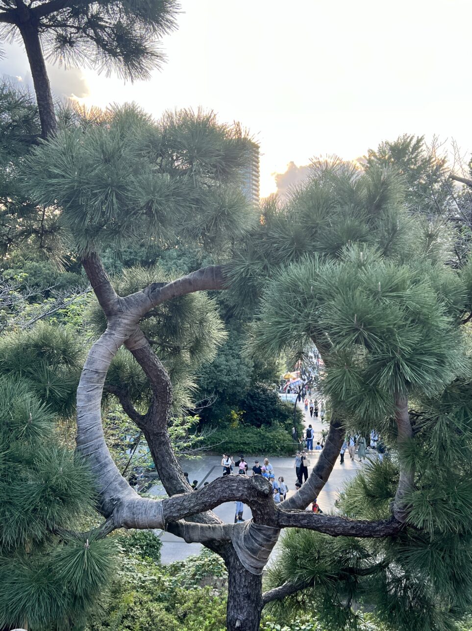 Blick vom Tempel im Ueno Park in Tokyo, Japan.