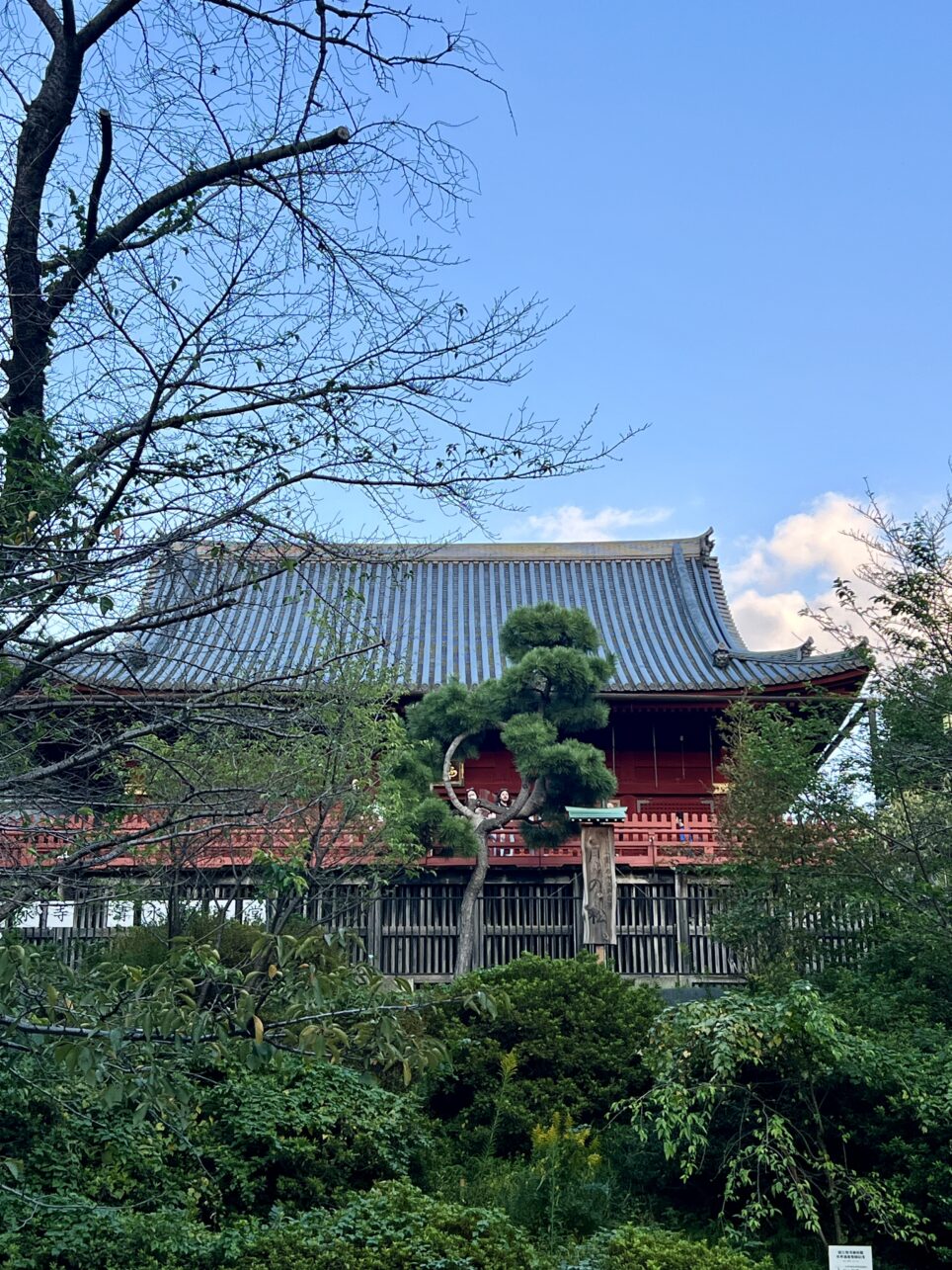 Tempel im Ueno Park in Tokyo, Japan.