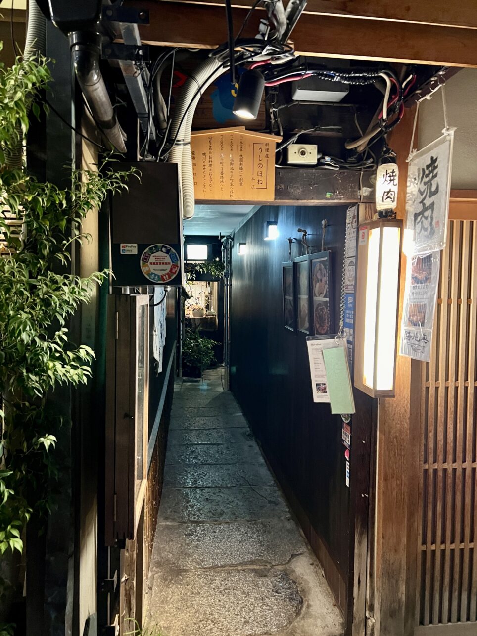 Pontocho-Gasse mit unzähligen Restaurants in Kyoto, Japan.