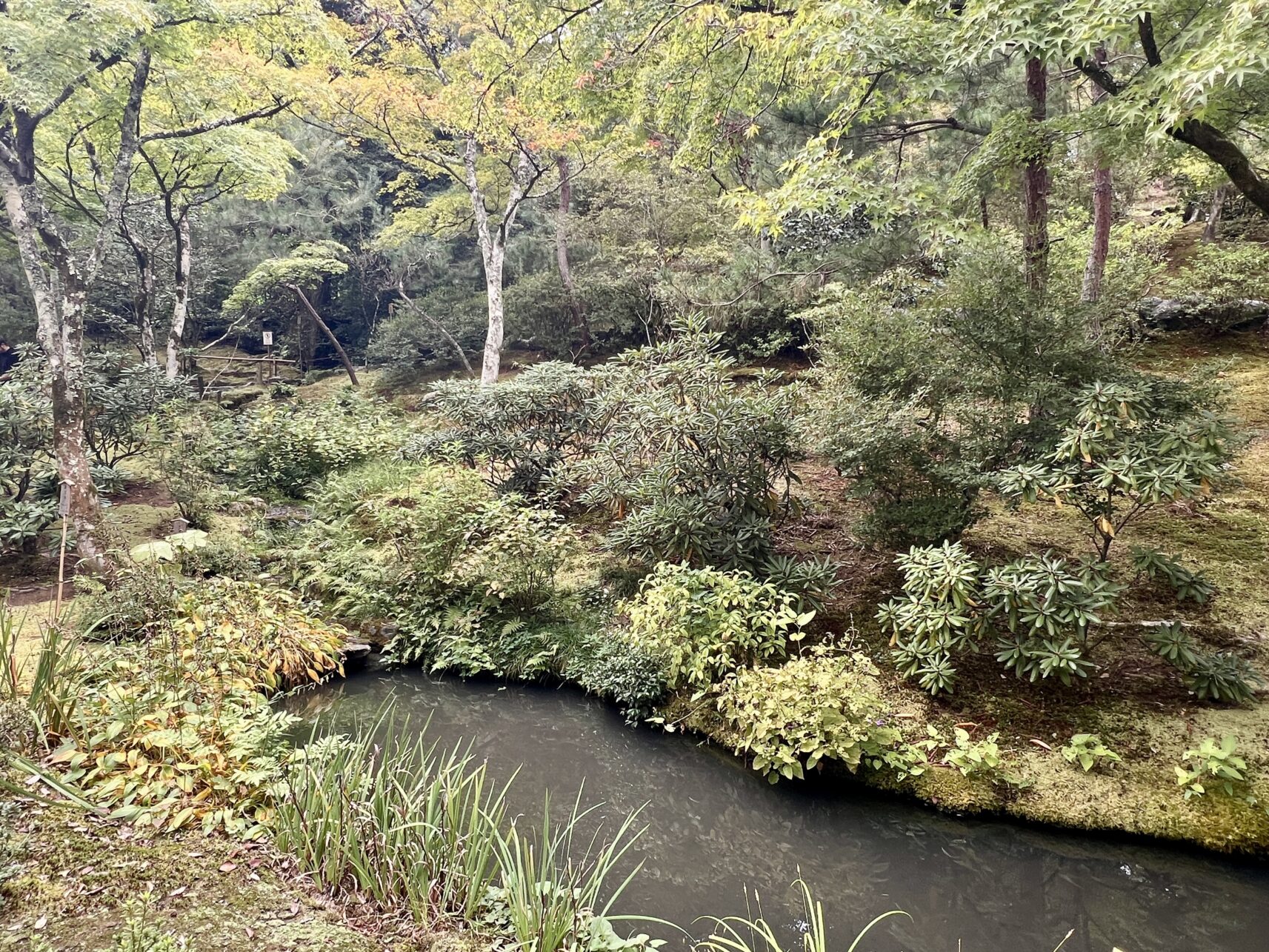 Im 14. Jahrhundert angelegter Garten im Tenryu-ji Tempel in Kyoto, Japan.