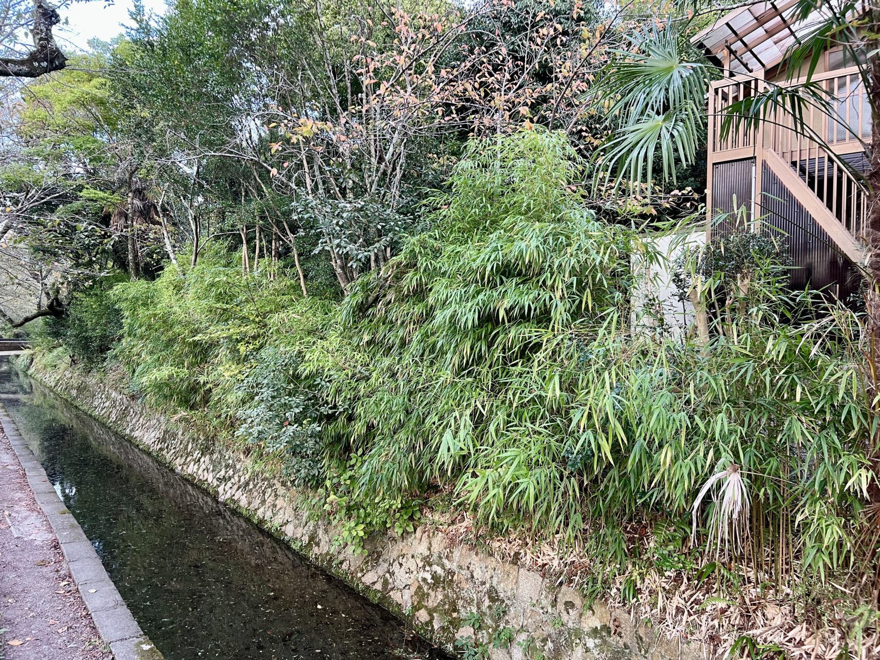 Philosophenweg zwischen Ginkaku-ji und Nanzen-ji Tempel in Kyoto, Japan.