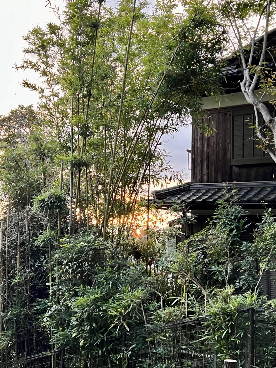 Sonnenuntergang auf dem Philosophenweg beim Ginkaku-ji Tempel in Kyoto, Japan.