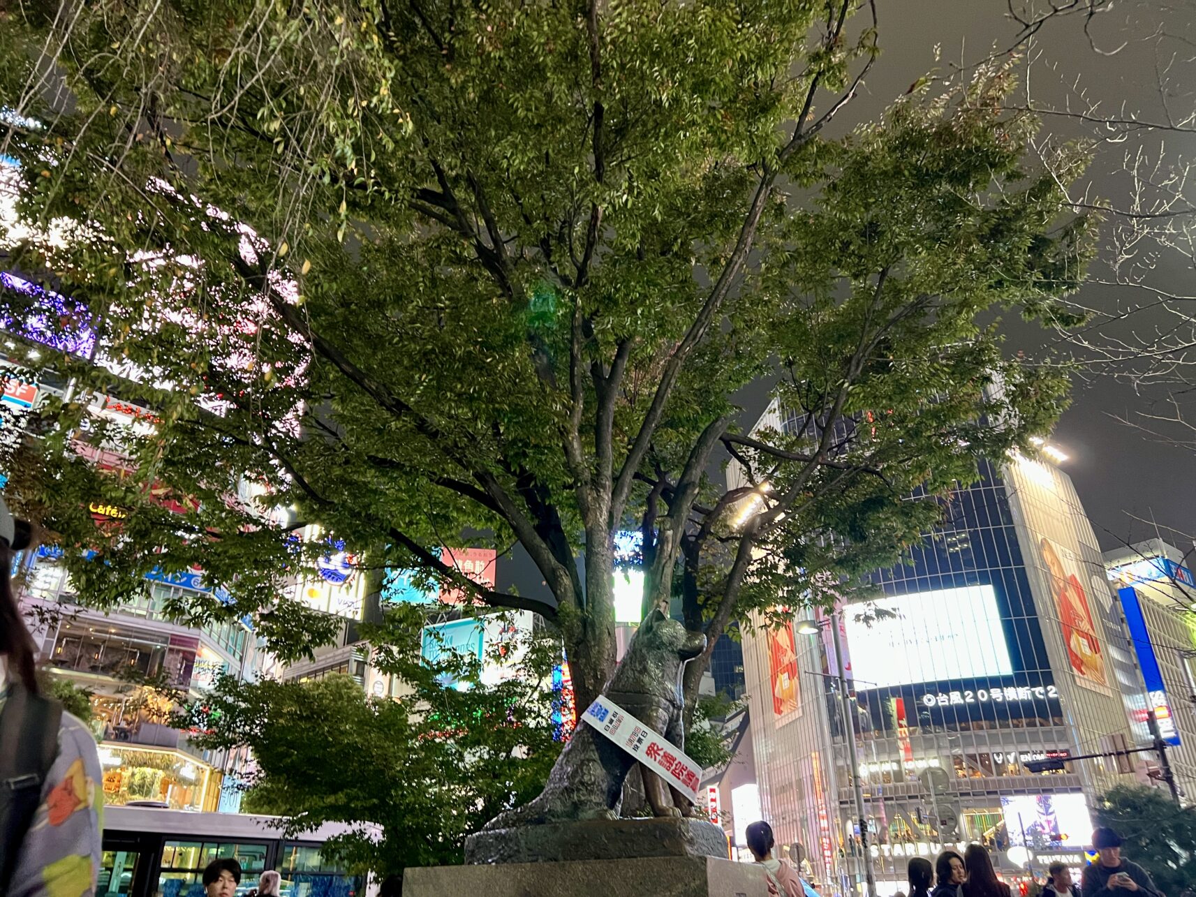 Statue des Hachiko